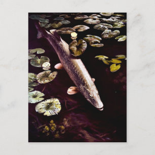 Postal Pike septentrional