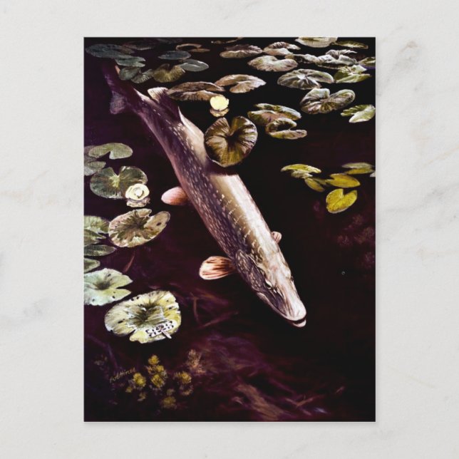 Postal Pike septentrional (Anverso)