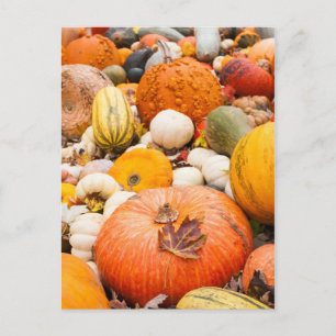 Postal Pila De Calabazas Y Escasez