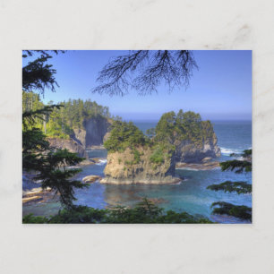 Postal Pilas de mar, tierras tribales de la nación Makah,