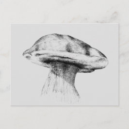 Postal Pilz Steinpilz Zeichnung