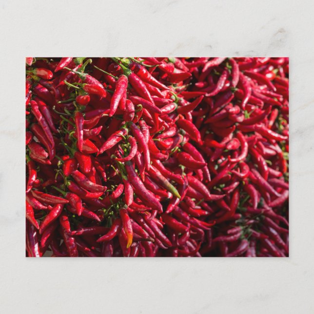 Postal Pimiento rojo picante en la ciudad de Kalocsa (Anverso)