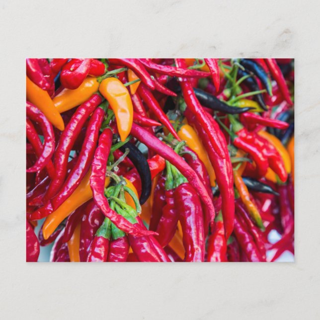 Postal Pimientos De Chili Calientes En El Mercado De Los  (Anverso)