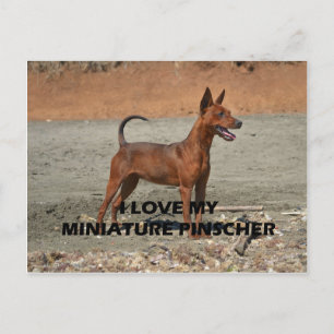 Postal pin min red amor completo w pic
