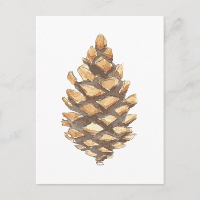 Postal Pine Cone (Anverso)