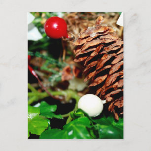 Postal Pine Cone Con Ivy