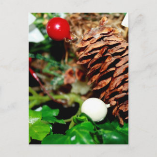 Postal Pine Cone Con Ivy