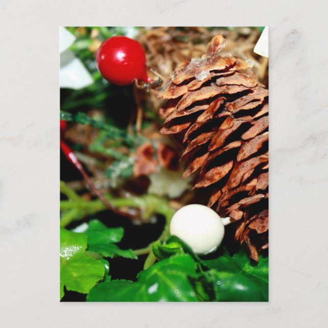 Postal Pine Cone Con Ivy (Anverso)