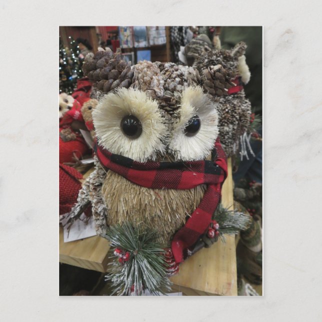 Postal Pine Cone Owl (Anverso)