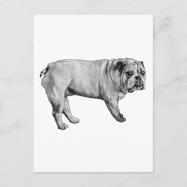 Postal Pine-Edge (Anverso)