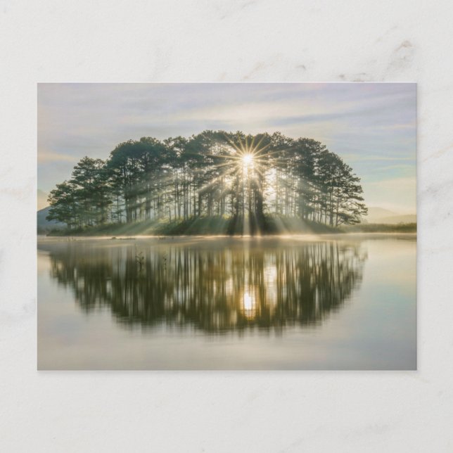 Postal Pine Island Sunray (Anverso)