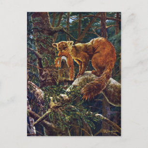 Postal Pine Marten con Prey