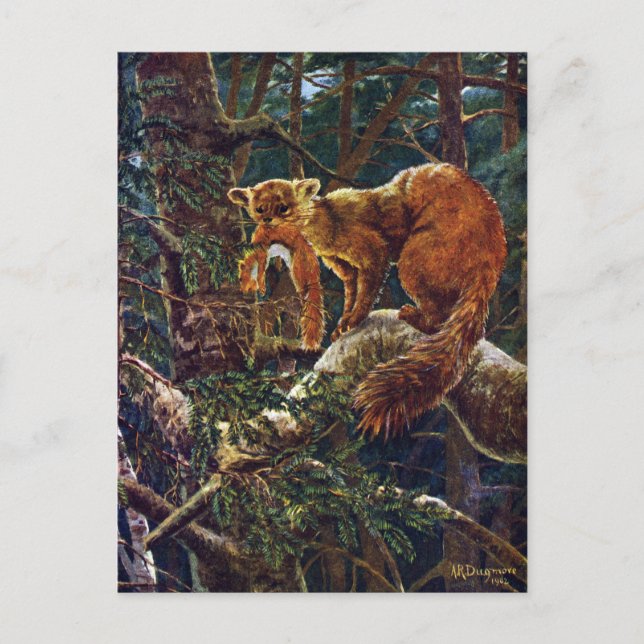 Postal Pine Marten con Prey (Anverso)