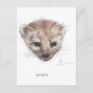 Postal Pine Marten Postcard