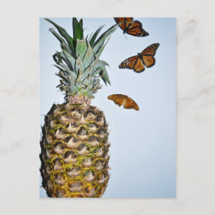 Postal Pineapple Fun