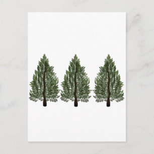Postal Pines Tripple