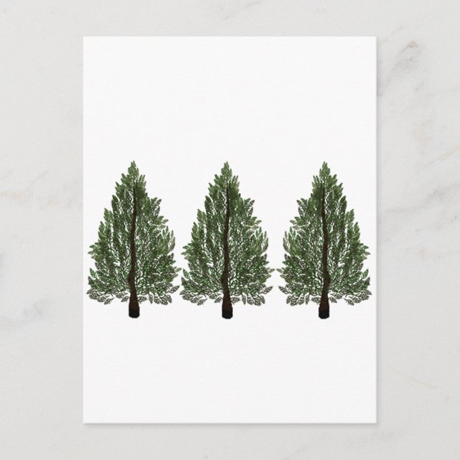 Postal Pines Tripple (Anverso)