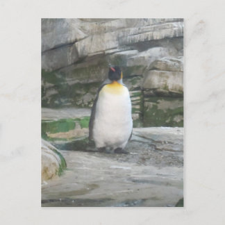 Postal Pinguin