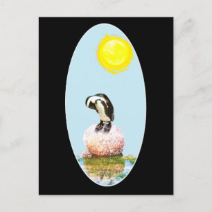 Postal Pingüino al sol