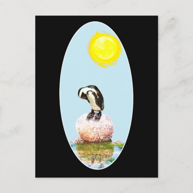 Postal Pingüino al sol (Anverso)