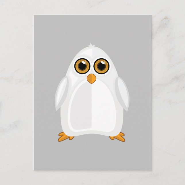 Postal Pingüino blanco (Anverso)