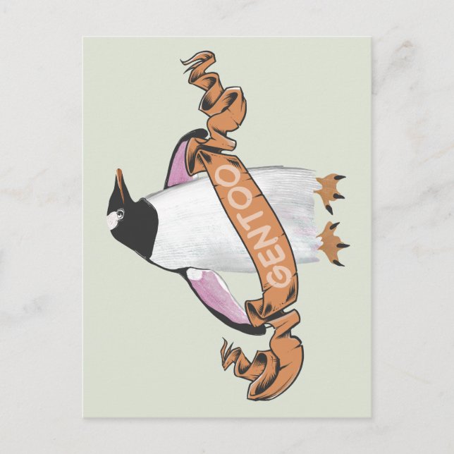 Postal Pingüino de Gentoo (Anverso)