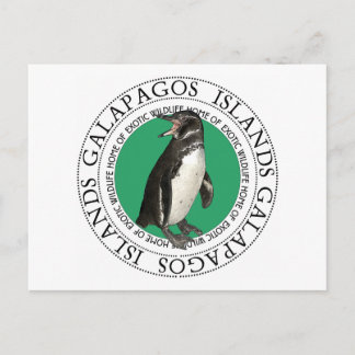 Postal Pingüino de las Islas Galápagos