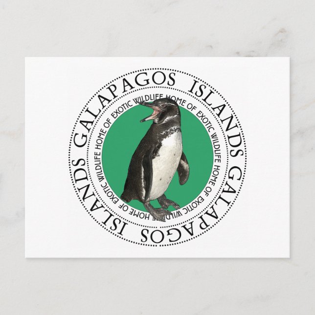 Postal Pingüino de las Islas Galápagos (Anverso)