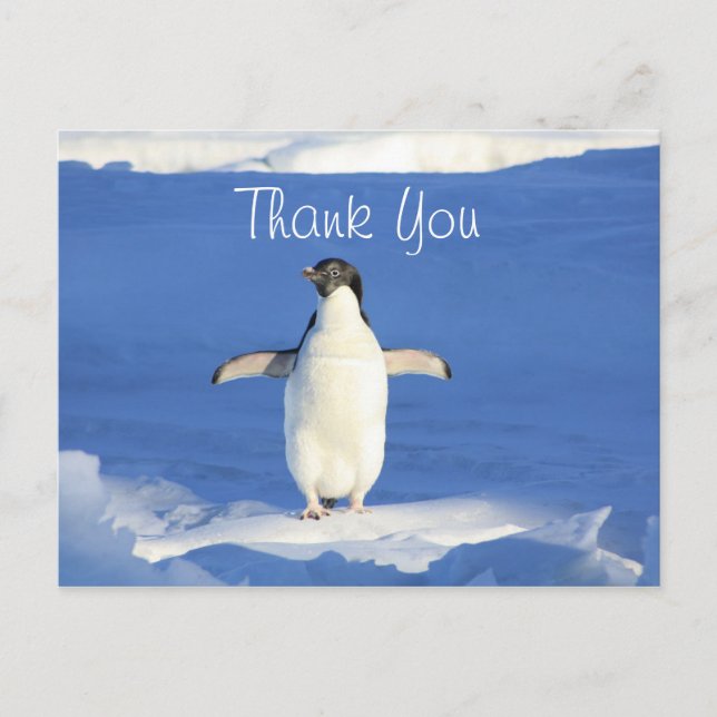 Postal Pingüino Divertido Gracias (Anverso)