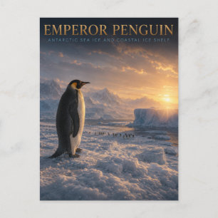 Postal Pingüino Emperador Hielo Antártico ANIMALES