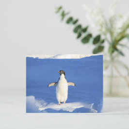 Postal Pingüino gracioso en foto de hielo
