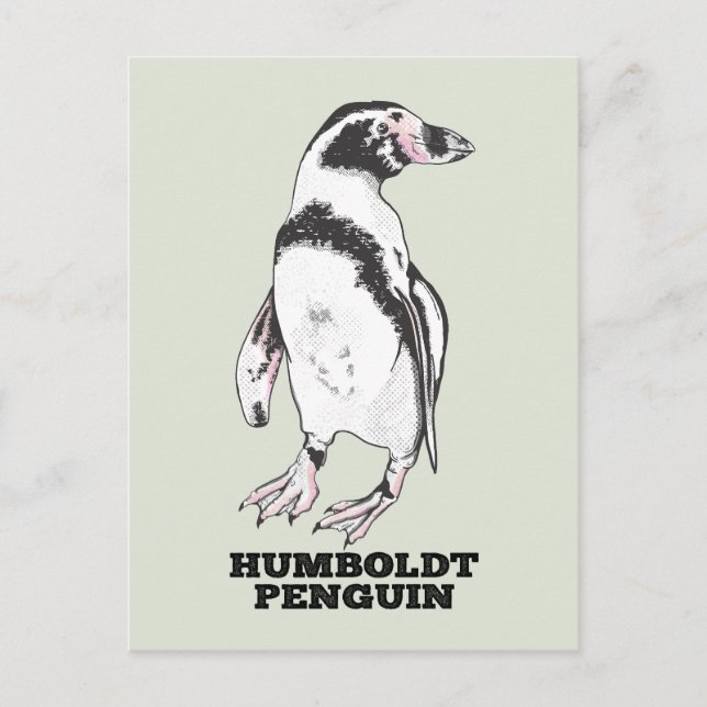 Postal Pingüino Humboldt (Anverso)