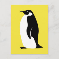 Pingüino lindo iluminando blanco negro amarillo