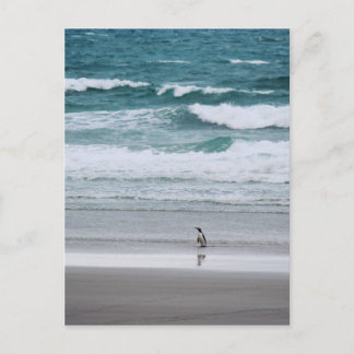 Postal Pingüino regresando del océano