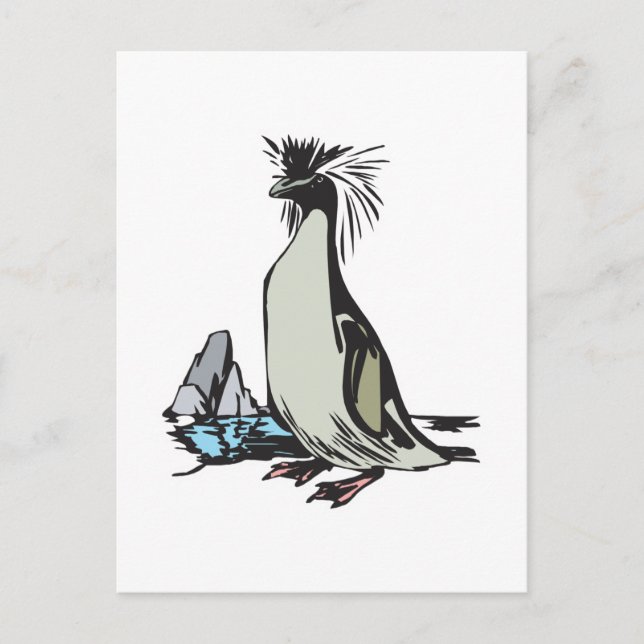 Postal pingüino saltarrocas (Anverso)