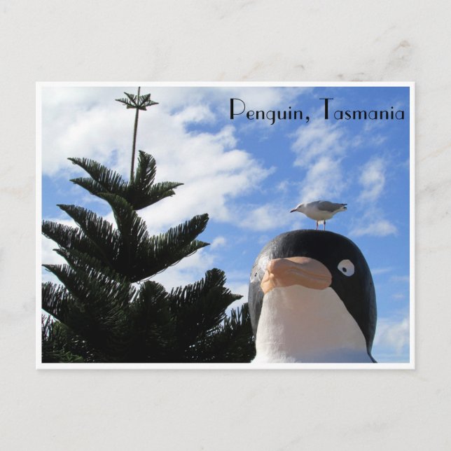 Postal pingüino y gull (Anverso)