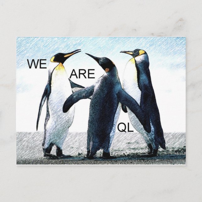Postal pingüinos (Anverso)