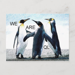 Postal pingüinos