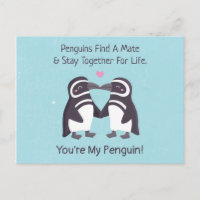 Pingüinos besándose, divertido eres mi pingüino