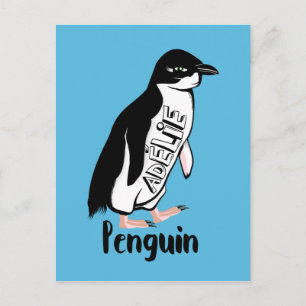 Postal Pingüinos de Adelia