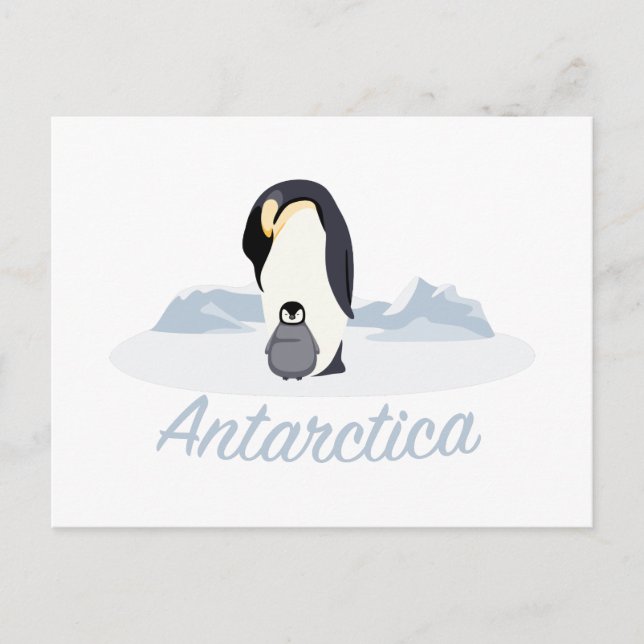 Postal Pingüinos de la Antártida (Anverso)