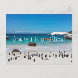 Postal Pingüinos Divertidos Gracias