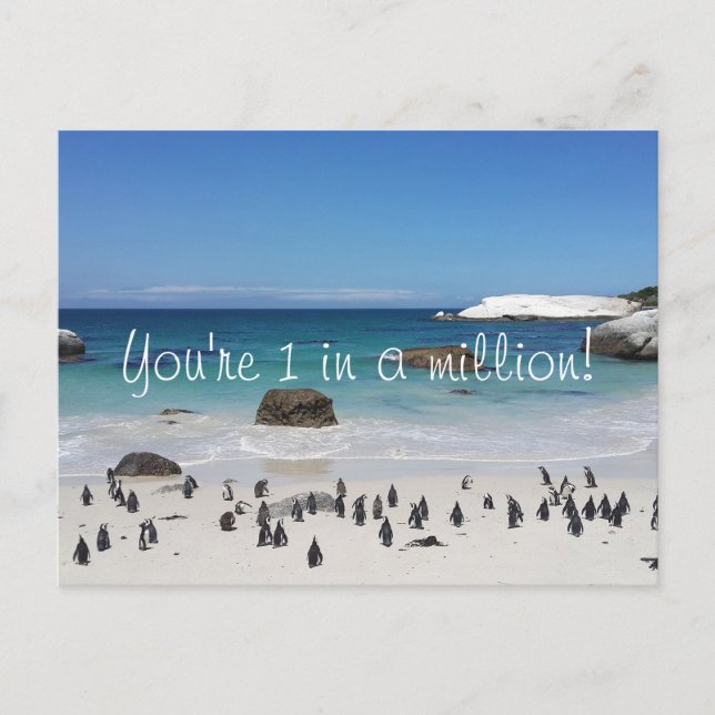 Postal Pingüinos Divertidos Gracias (Anverso)