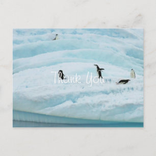 Postal Pingüinos Divertidos Gracias