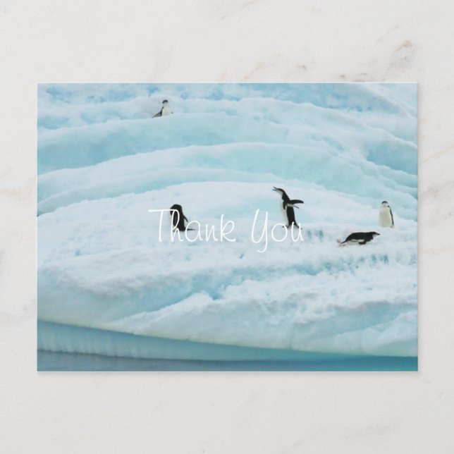 Postal Pingüinos Divertidos Gracias (Anverso)
