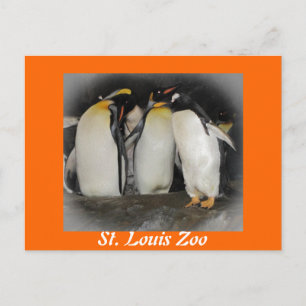 Postal Pingüinos en el zoológico