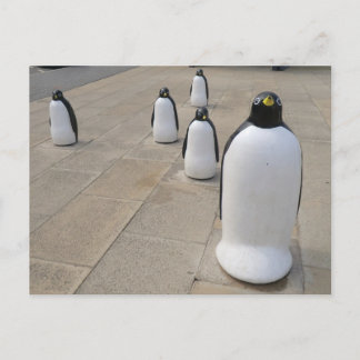 Postal Pingüinos frente al mar