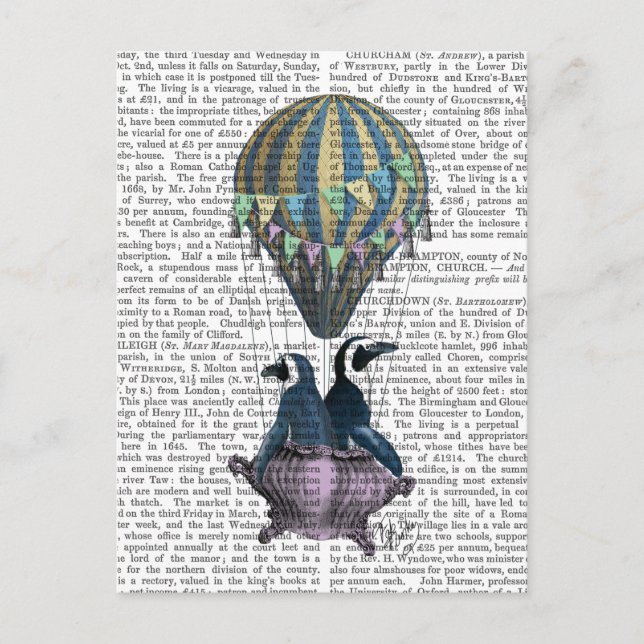 Postal Pingüinos voladores (Anverso)