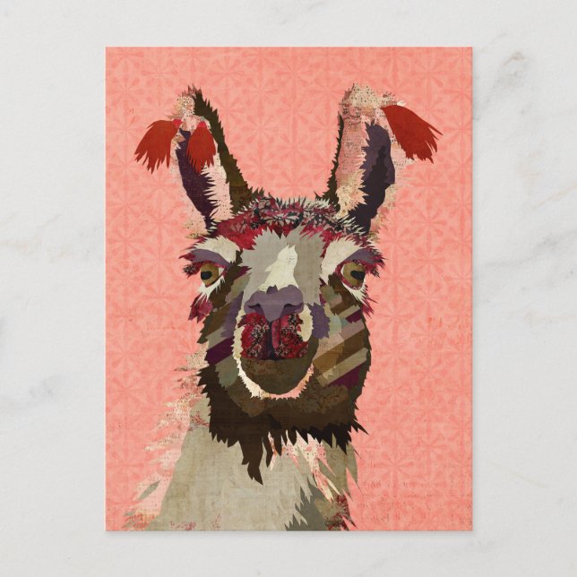 Postal PINK ALPACA (Anverso)