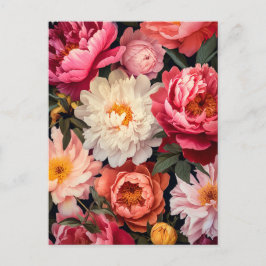 Postal pink and white peony flowers with green leaves
